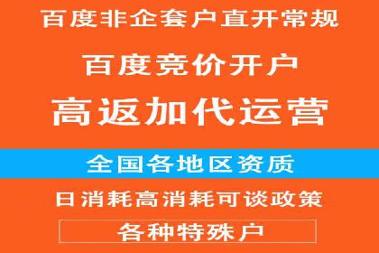 成功案例解析：SEM竞价员策略